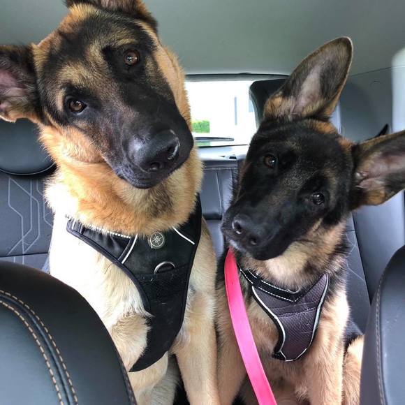 Meet your Posher, Janet - Picture 1 of 1